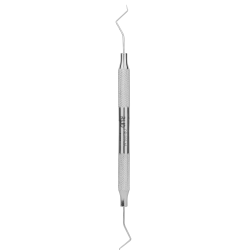 DP1003-16，Resorptive Lesion...