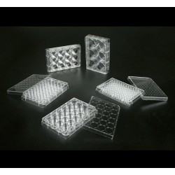 thumbnail image 2 of 6 Well Tissue Plate 96 Well Cell Culture Plate With Tissue Culture TC Treated For Lab U Bottom Individual Packaging Sterile Pill Capsules Filling Tray 2 of 12