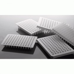 0.1ml 96 Well PCR Plate, No...