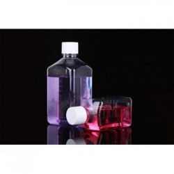 1000ml Sqaure shape PET...