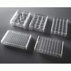 24 Well Cell Culture Plate,...