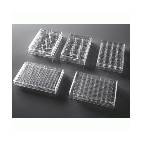 24 Well Cell Culture Plate,...