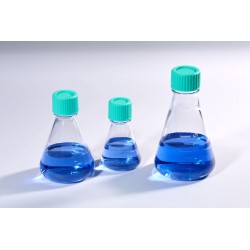 25ml Erlenmeyer...