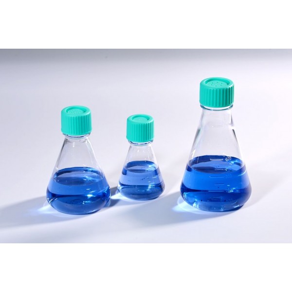 25ml Erlenmeyer...