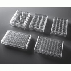 48 Well Cell Culture Plate,...