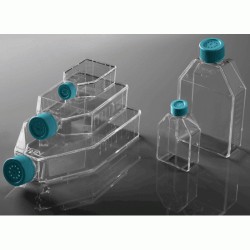 75cm2 Cell Culture Flask,...