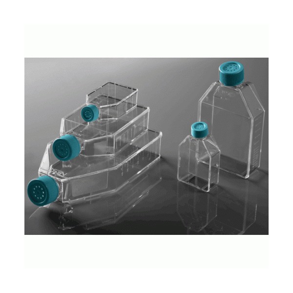 75cm2 Cell Culture Flask,...