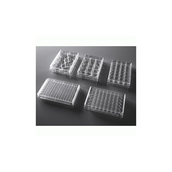 48-Well Tissue Culture Plates - Sterile Flat Bottom Plates 50/Case