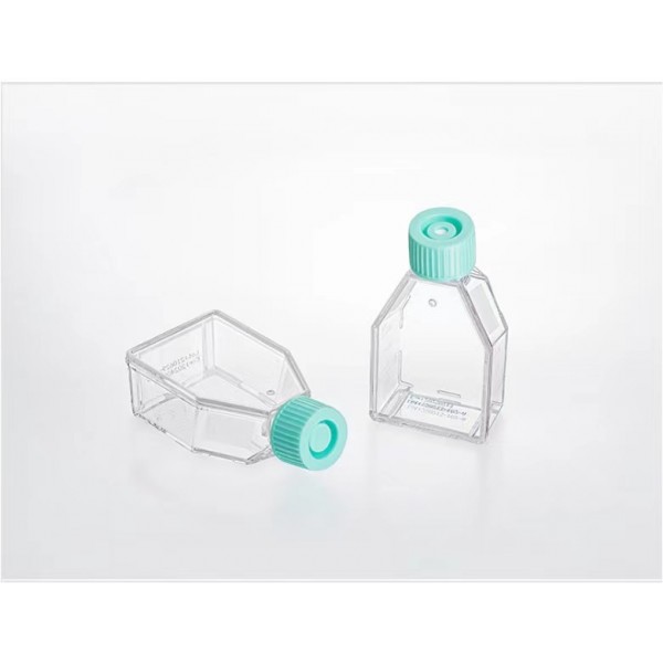 Cell and Tissue Culture Flasks
