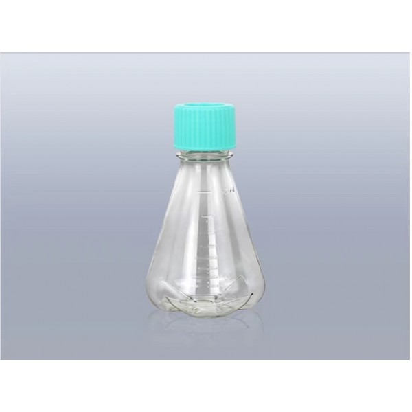 Erlenmeyer Flasks