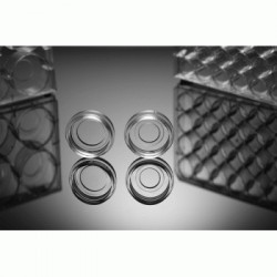 Glass Bottom Cell Culture...