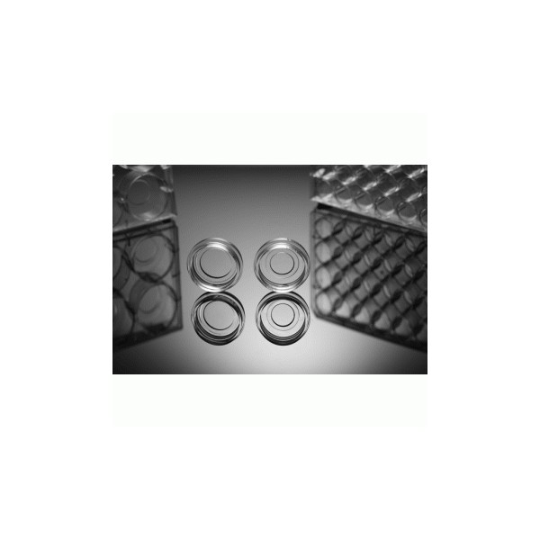Glass Bottom Cell Culture...