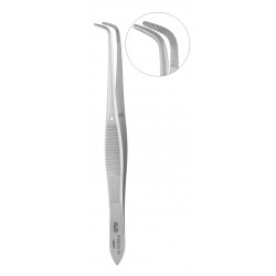 F14013-10,IRIS Dissecting...
