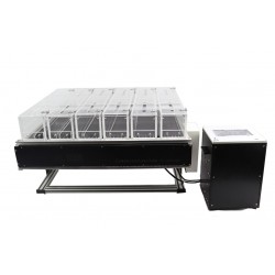Treadmill for 5 Rats