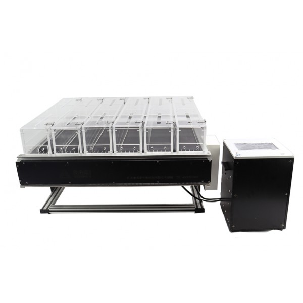 Treadmill for 5 Mice