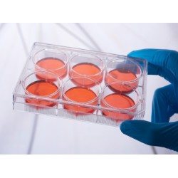 6 well Ultra-low Adsorption...