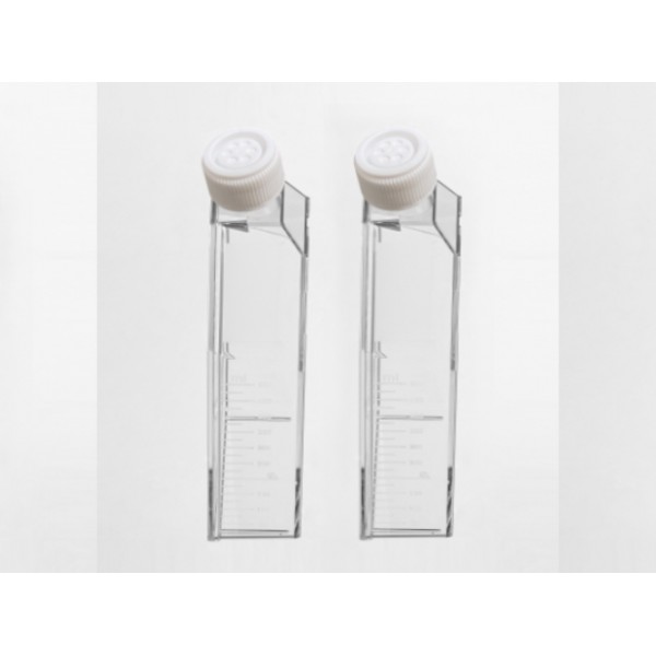 600ml / T175 CellDETACH...