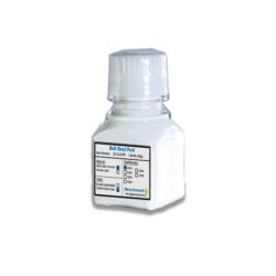 Bulk Beads, Zirconium,...