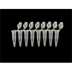 PCR Strip Tubes with...