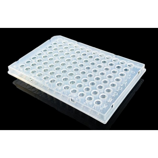 96 Well Half Skirt PCR...