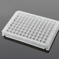 SQUARE CULTURE MEDIUM...