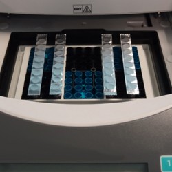 EZCAP FOILSTRIPS