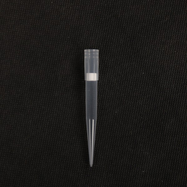 Filter Tips, 1000uL...