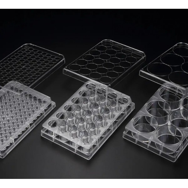 Component Plate 3D Cell Floater Plate, PS, 24well, 85.4x127.6x20.2mm