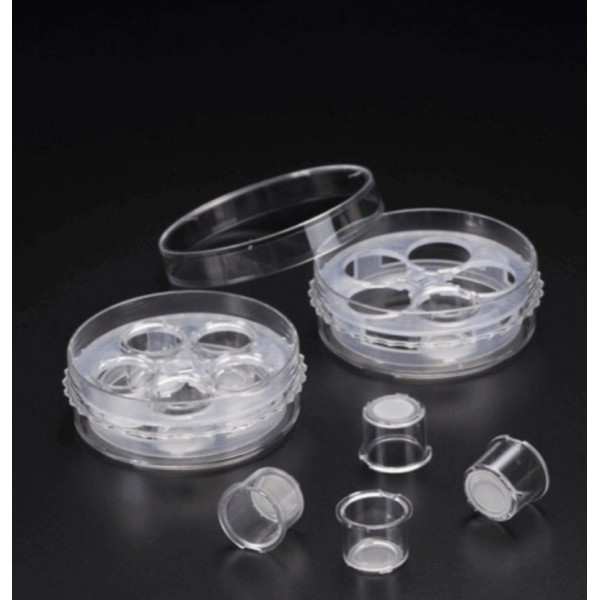 Multi Insert Dish Low...