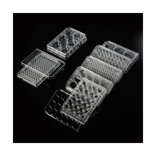 Cell Culture Plate, PS, 48...