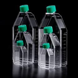 Cell Culture Flask with...