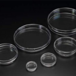 Cell Culture Dish,90x20mm,...
