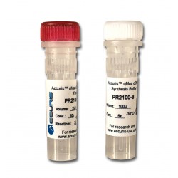 Accuris qMax cDNA Synthesis...