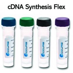 Accuris qMAX First Strand...
