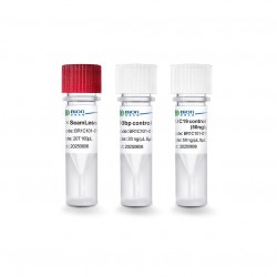 2× SeamLess Cloning Premix 40T