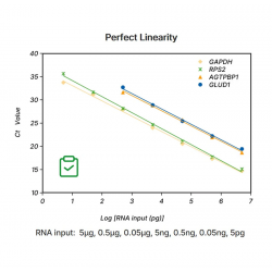 Hifair™ AdvanceFast 1st...