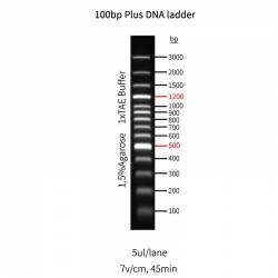GoldBand™ 100 bp plus DNA...