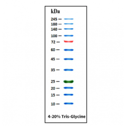 GoldBand™ 3-color High...