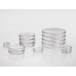 15cm Standard Treated...