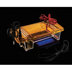 Electrophoresis System with...