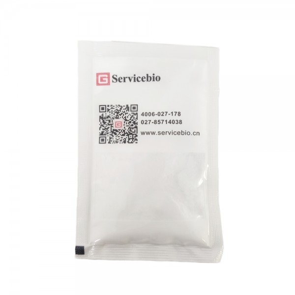 Phosphate Buffered Saline...