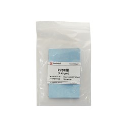 PVDF Transfer...