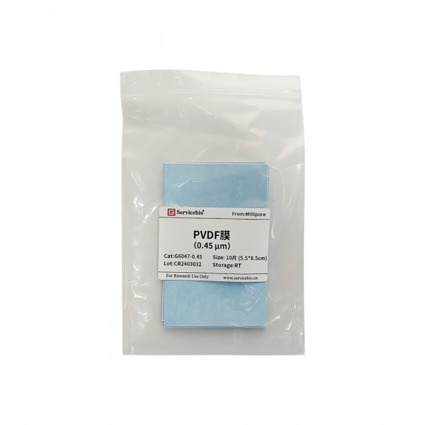 PVDF Transfer...