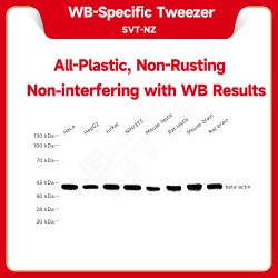 WB-Specific Tweezer pc...