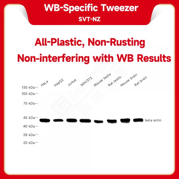 WB-Specific Tweezer pc...