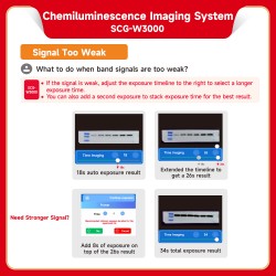 Chemiluminescence Imaging...