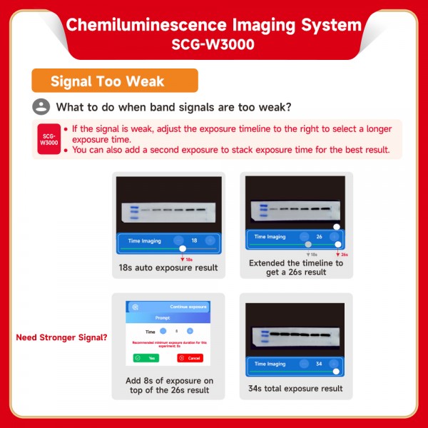 Chemiluminescence Imaging...