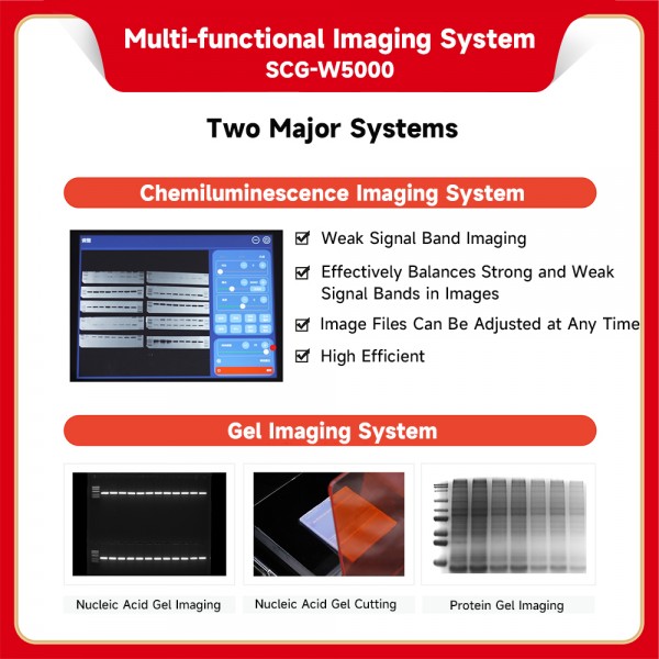 Multifunctional Imaging System