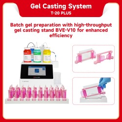 Gel Casting System...