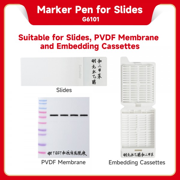 Laboratory Marking Pen
